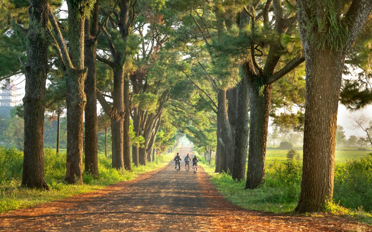 routine en structuur tijdens rouw