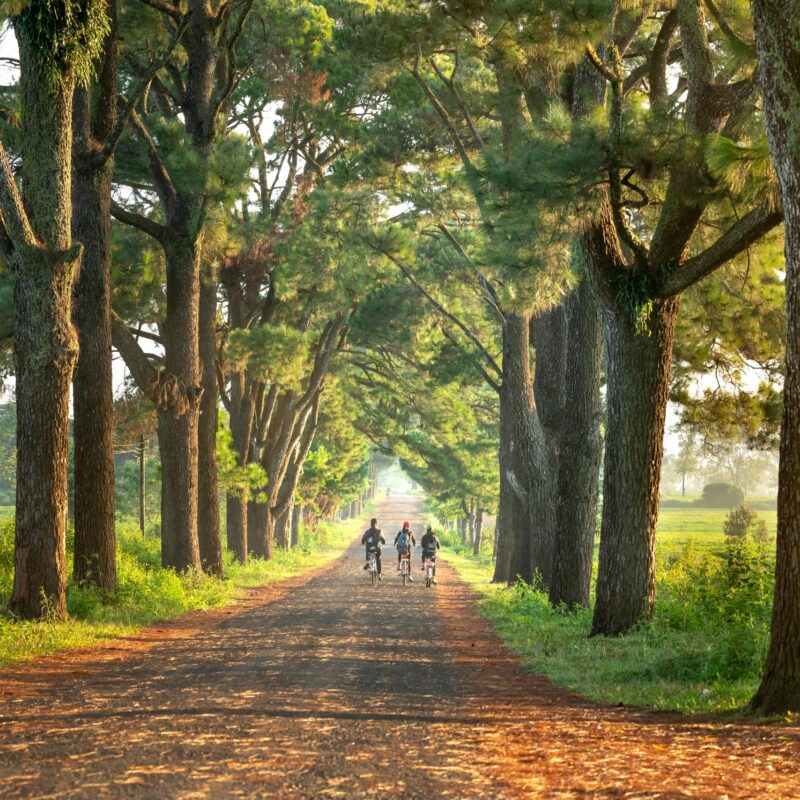 routine en structuur tijdens rouw
