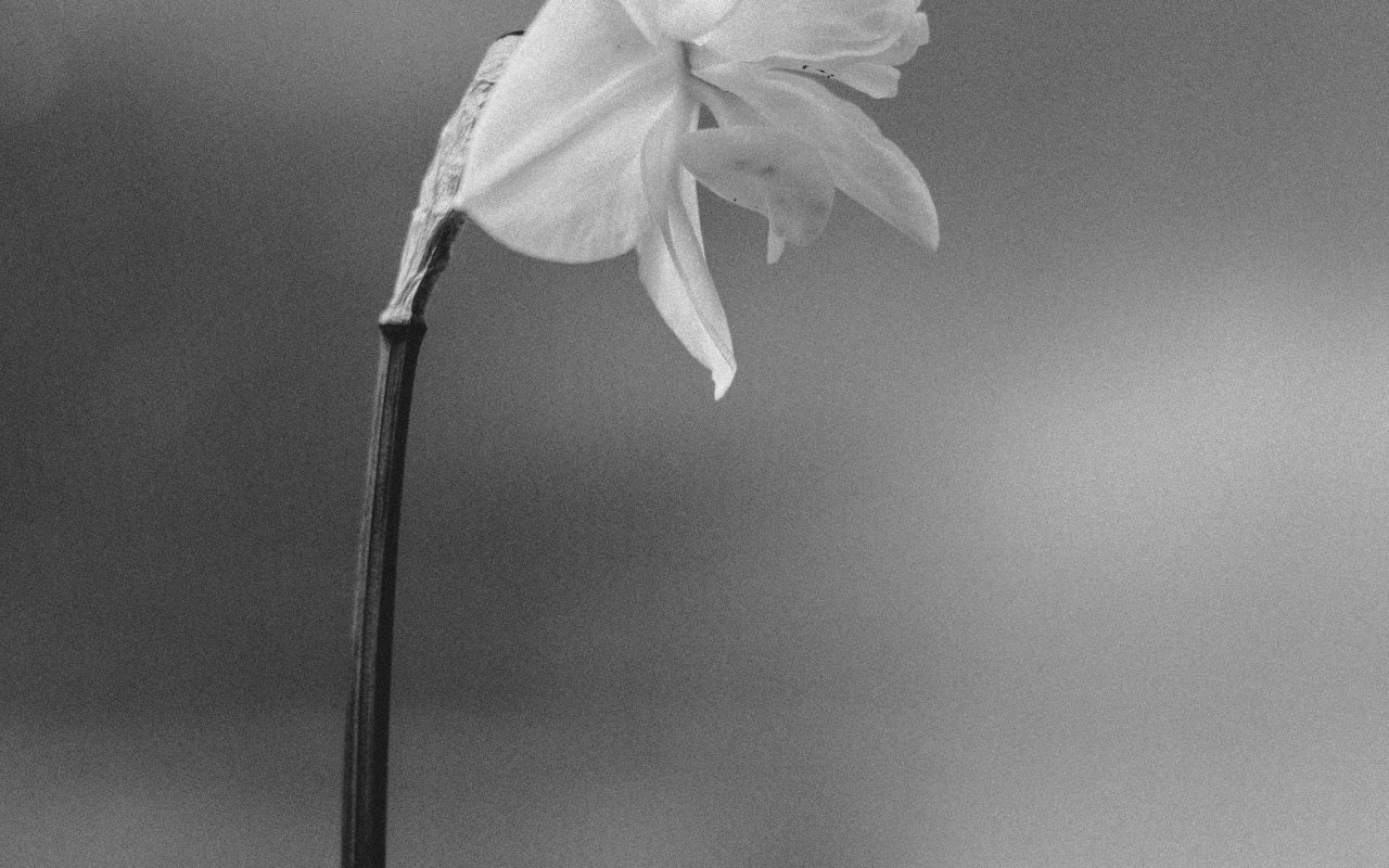 uitkeren na overlijden