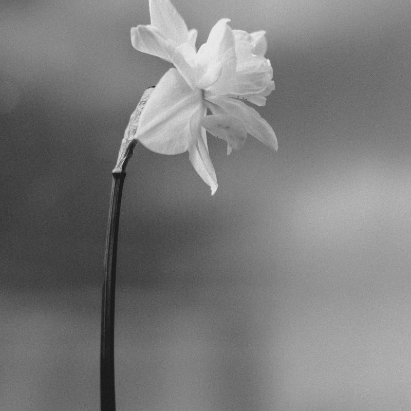 uitkeren na overlijden